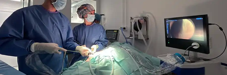 Equipamento de Endoscopia Veterinária